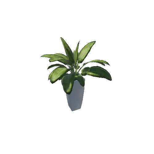 Plant 1